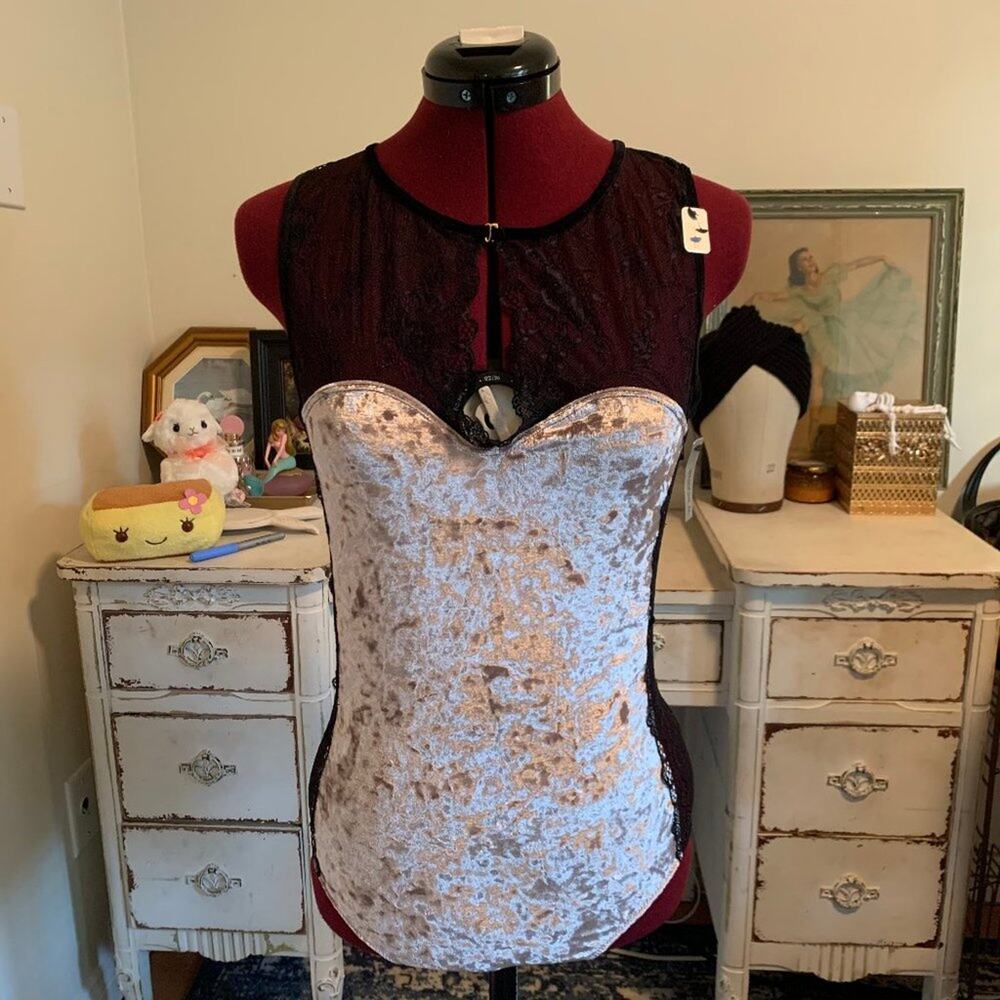 NWT Modcloth Sophie B Crushed Velvet Bodysuit in Blush